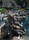 thumbs/seaworld 061.png